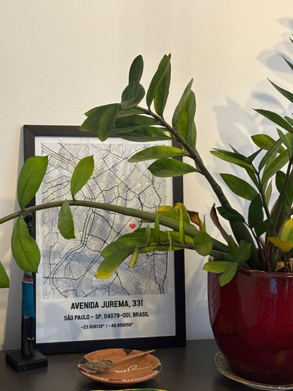 Quadro com moldura preta de mapa personalizado de São Paulo enviado por cliente, posicionado na decoração de uma casa ao lado de um vaso de planta verde.